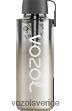 VOZOL NEON 10 000 björnbärsstorm DX642230 - VOZOL Vape