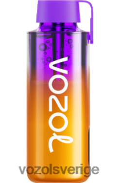 VOZOL NEON 10 000 blandade bär DX642235 - VOZOL Vape Smaker