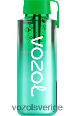 VOZOL NEON 10 000 miami mynta DX642229 - VOZOL Review