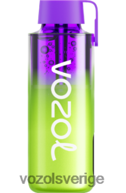 VOZOL NEON 10 000 vattenmelon is DX642241 - VOZOL Sverige