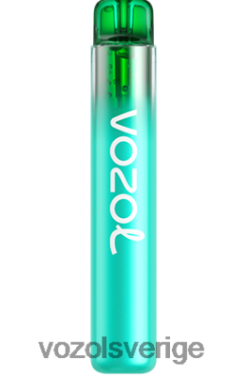 VOZOL NEON 800 blåbärssura hallon DX642246 - VOZOL Vape Store