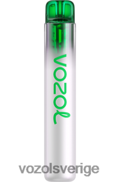 VOZOL NEON 800 druvis DX642248 - VOZOL Vape Sale