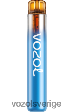 VOZOL NEON 800 skogsbärstorm DX642270 - VOZOL Vape
