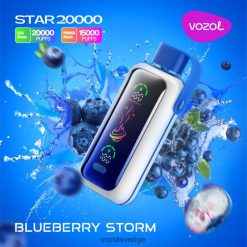 VOZOL STAR 20 000 blåbärsstorm DLXTZ65 - VOZOL Vape Smaker