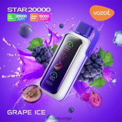 VOZOL STAR 20 000 druvis DLXTZ69 - VOZOL Review