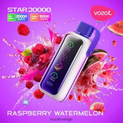 VOZOL STAR 20 000 hallon vattenmelon DLXTZ619 - VOZOL Review