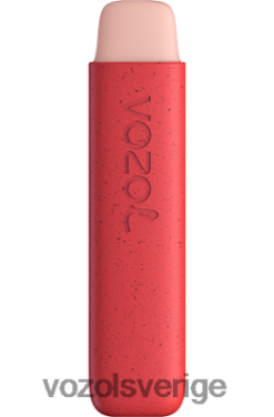 VOZOL STAR 550 jordgubbsglass DX642145 - VOZOL Vape Smaker