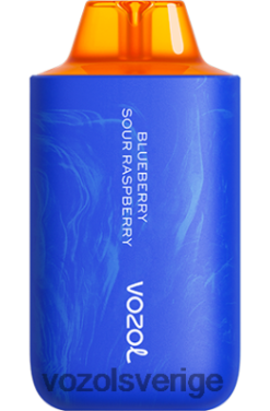 VOZOL STAR 6000/8000 v2 blåbärssura hallon DX64256 - VOZOL Vape Store