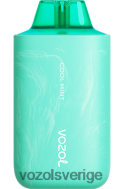 VOZOL STAR 6000/8000 v2 cool mynta DX64257 - VOZOL Vape Shop