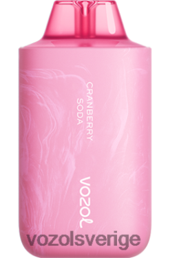 VOZOL STAR 6000/8000 v2 tranbärsläsk DX64258 - VOZOL Vape Sale