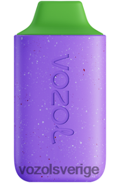 VOZOL STAR 6000 aloe druva DX642103 - VOZOL Vape Sverige