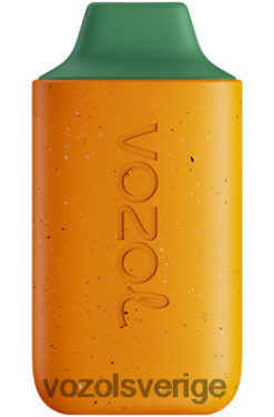 VOZOL STAR 6000 kiwi guava passionsfrukt DX642115 - VOZOL Vape Smaker