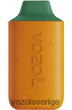 VOZOL STAR 6000 mango persika vattenmelon DX642120 - VOZOL Vape
