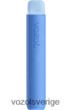 VOZOL STAR 600 blåbärssura hallon DX64275 - VOZOL Vape Smaker