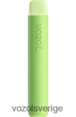 VOZOL STAR 600 vattenmelon tuggummi DX642100 - VOZOL Vape