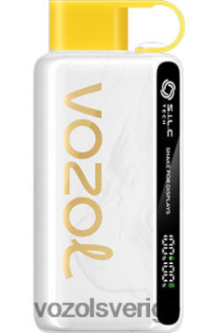 VOZOL STAR 9000/12000 kiwi passionsfrukt guava DX64225 - VOZOL Vape Smaker