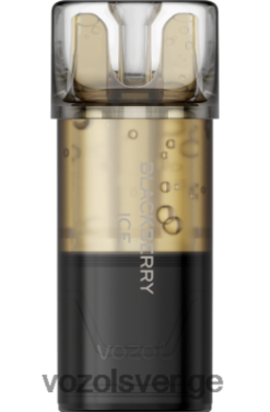 VOZOL SWITCH pro björnbärs is DX642193 - VOZOL Vape Sverige