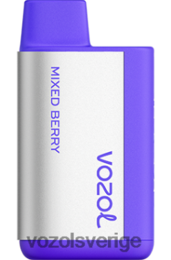 VOZOL TIGO 600 blandat bär DX642370 - VOZOL Vape