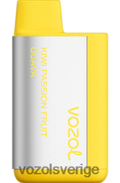 VOZOL TIGO 600 kiwi passionsfrukt guava DX642368 - VOZOL Vape Sale