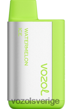 VOZOL TIGO 600 vattenmelon is DX642375 - VOZOL Vape Smaker