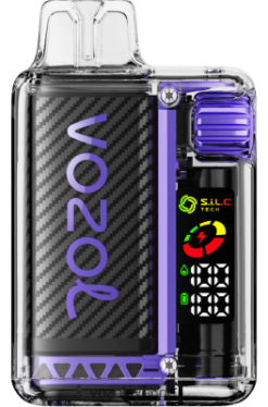 VOZOL VISTA 16000/20000 druvis DX6425 - VOZOL Vape Smaker