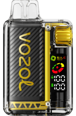 VOZOL VISTA 16000/20000 mango is DX6428 - VOZOL Vape Sale